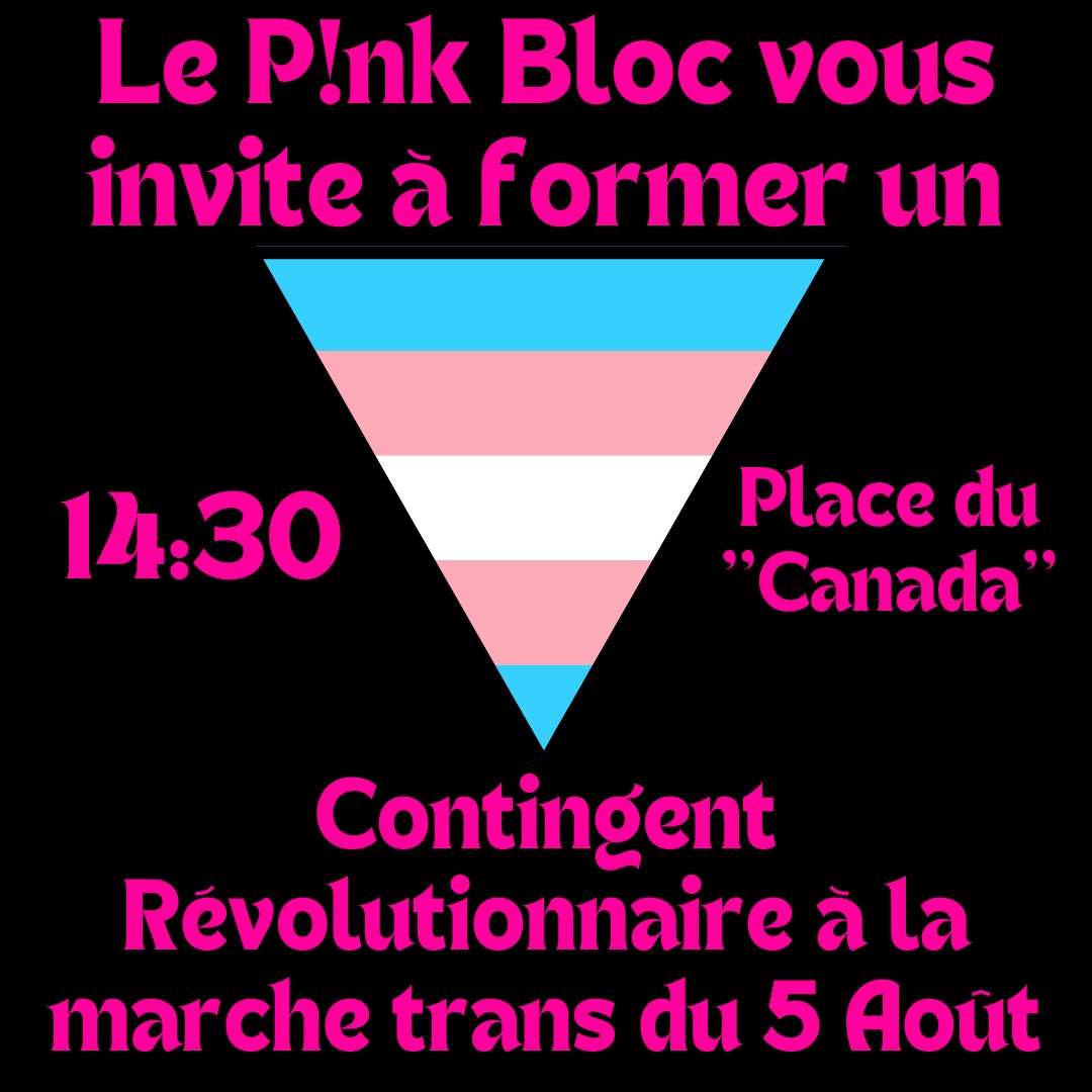 Le Pink Bloc vous invite à former un contingent révolutionnaire à la marche trans du 5 août. 14h30, Place du "Canada"